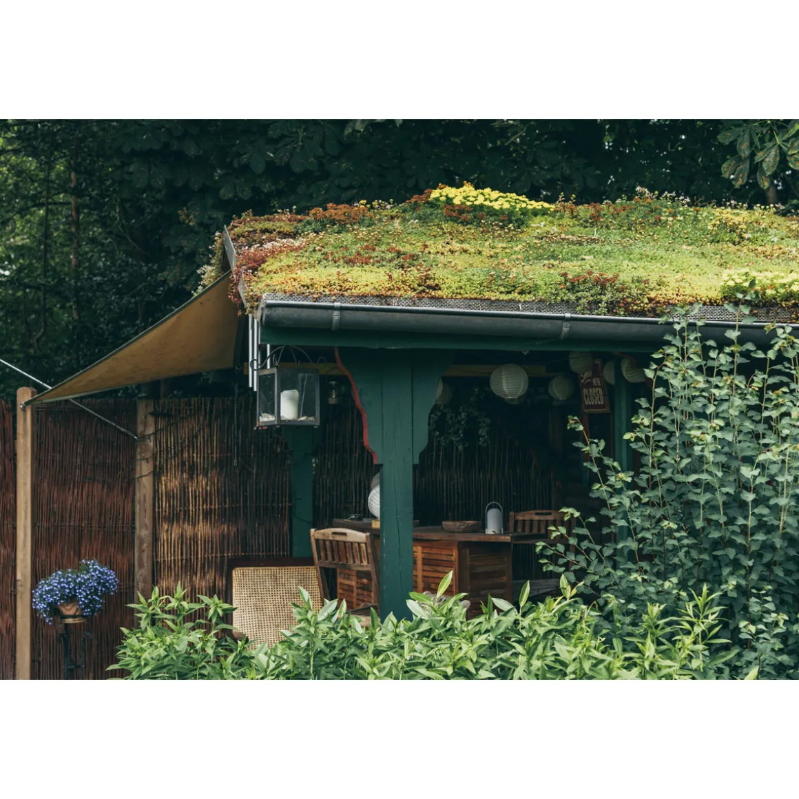 AboutGreen Dachbegrünung Roll und Go Dachneigung 5-10