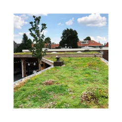 AboutGreen Gründachsystem Click und Go bis 15 Dachneigung 45 x 49,5 cm