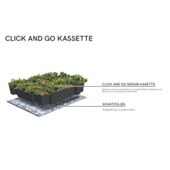AboutGreen Gründachsystem Click und Go bis 15 Dachneigung 45 x 49,5 cm