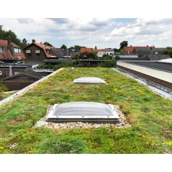 AboutGreen Gründachsystem Aromadach bis 10 Dachneigung 1 m²
