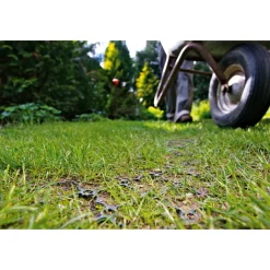 ACO Rasenwabe 586 x 386 mm grün