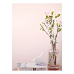 Alpina Feine Farben Zarte Romantik 2,5 L