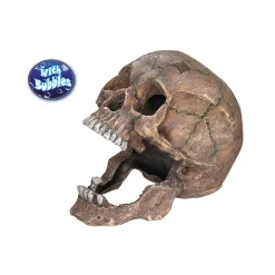 Aqua Ornaments Totenkopf 13,5 x 20 x 16,5 cm