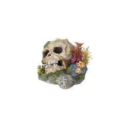 Aqua Ornaments Totenkopf mit Pflanzen 13,5 x 13,5 x 10,5 cm