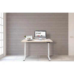 Better Home elektrisch höhenverstellbares Schreibtischgestell FlexiDesk DM2 Dual Motor