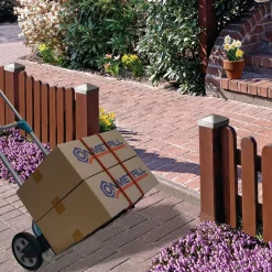 Connex Gepäckspanner 8 x 75 cm orange