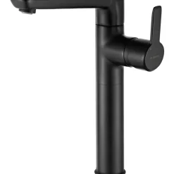 deante Einloch-Waschtischarmatur ARNIKA schwarz