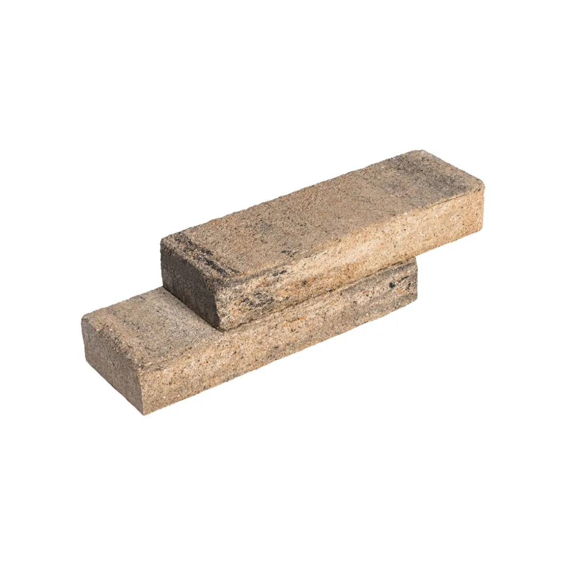 Diephaus Mauerstein Cup Muschelkalk 60 x 20 x 10 cm