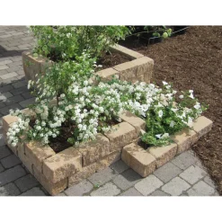 Diephaus Mauerstein Cup Sandstein 30 x 10 x 10 cm PE3