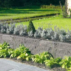 Diephaus Mauerstein Cup-Kombi schwarz 50 x 12,5 x 12,5 cm