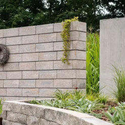 Diephaus Mauerstein Moderna Muschelkalk 50 x 40 x 20 cm