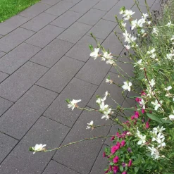 Diephaus Pflaster Major basalt mit Glimmer 0,96m2 pro Lage