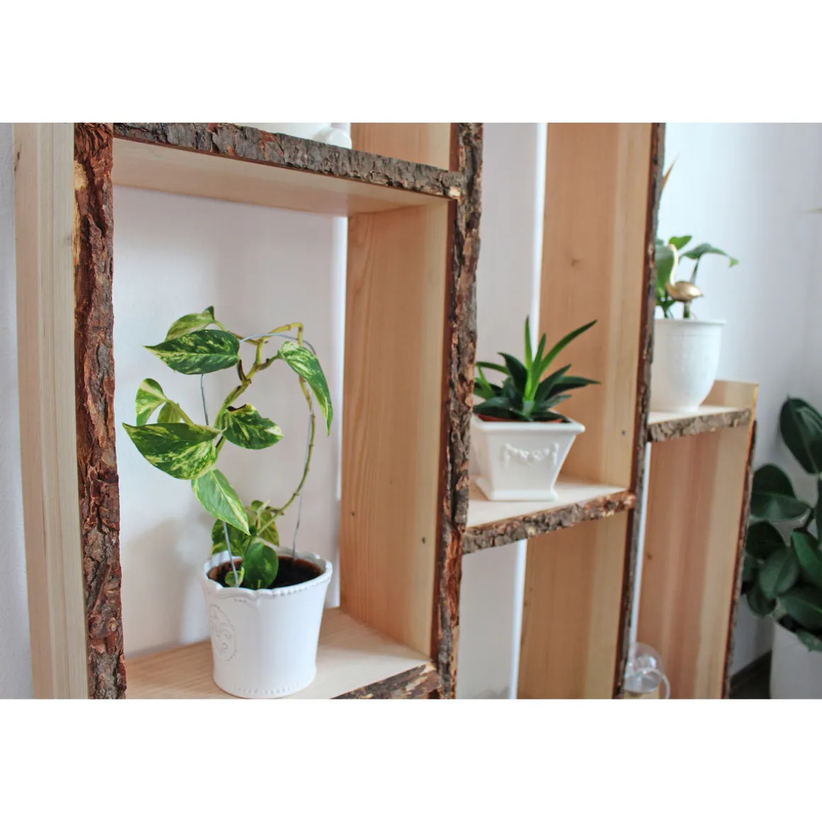 Douglasie-Massivholzbrett unbesäumt ca 120 x 26-30 cm