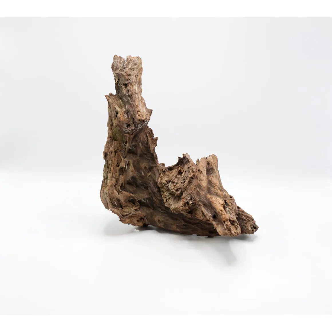 Driftwood Wurzel 25 x 8 cm