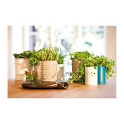 Edding Spray 5200 hellelfenbein seidenmatt