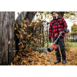 Einhell Akku-Laubbläser GP-LB 36/270 Li E BL-Solo