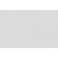 Erfurt Vliesfaser Basic 100 weiß 1005 x 53 cm