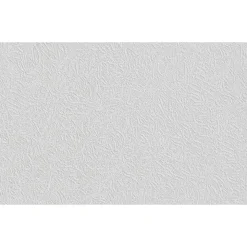 Erfurt Vliesfaser Protect 209 weiß 1005 x 53 cm