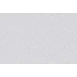 Erfurt Vliesfaser Protect 208 weiß 1005 x 53 cm