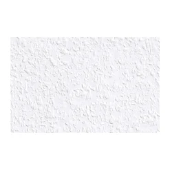 Erfurt Rauhfaser Classico 2000 x 53 cm