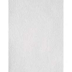 Erfurt Vlies Rauhfaser Viva