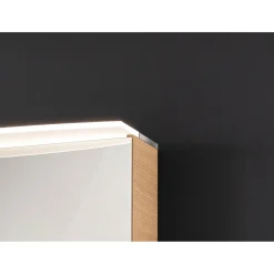 Fackelmann Spiegelschrank B.Style 600 x 812 x 153 mm Sandeiche LED