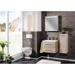 Fackelmann LED-Spiegelschrank B.clever 60 x 71 x 16 cm Alaska-Esche