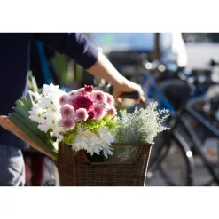 Fischer Bikes Gepäckträgerkorb Retro