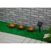 Flector Garten LED Solar Dekoleuchte Lotus 15 cm