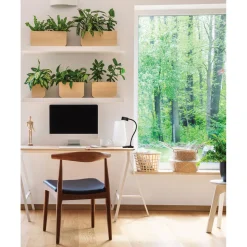 Flector Klemmleuchte Flux schwarz