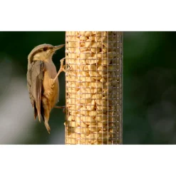 Futterspender für Nüsse und Kerne 9,5 x 9,5 x 23 cm Metall Grün