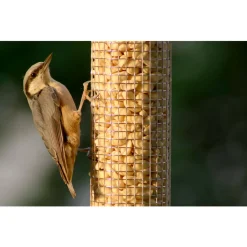 Futterspender für Nüsse und Kerne 9,5 x 9,5 x 23 cm Metall Grün