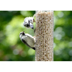 Futterspender für Nüsse und Kerne 9,5 x 9,5 x 23 cm Metall Grün