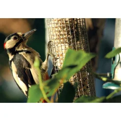 Futterspender für Nüsse und Kerne 9,5 x 9,5 x 23 cm Metall Grün