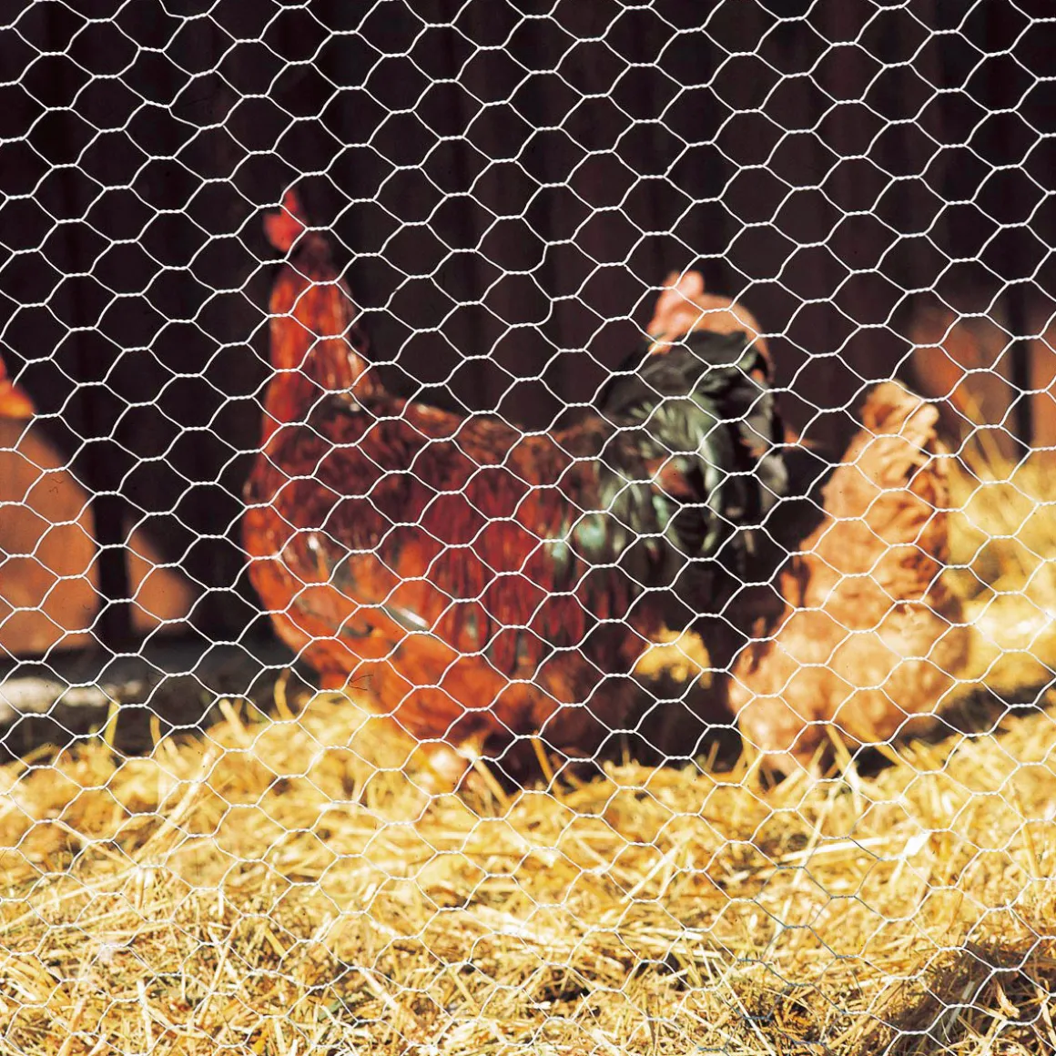 GAH Alberts Sechseckgeflecht verzinkt Höhe 500 mm Länge 25 Meter Masche 13 x 13