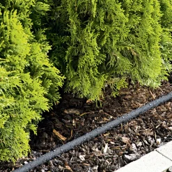 Gardena Perl-Regner 15 m