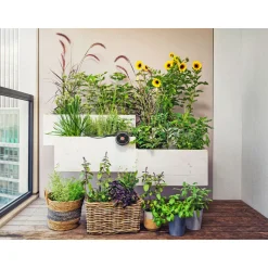 Gardena Solar-Bewässerungs-Set AquaBloom