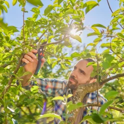 Gardena Gartenschere PremiumCut Pro Flex Bypass 24 mm