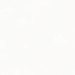 Gardinia Flächenvorhang Stoff Entry 60 x 245 cm weiß