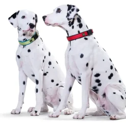 Hunter Halsung Neopren Vario Plus rot 30-35 cm