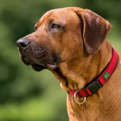 Hunter Halsung Neopren Vario Plus 45-50 cm 20m