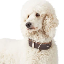 Hunter Halsband Aalborg Special dunkelbraun Größe M