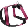 Hunter Hundegeschirr Neopren himbeer-schwarz Größe L