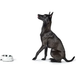 Hunter Melamin-Napf Baku weiß-grau 160 ml