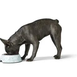 Hunter Melamin-Napf Blies weiß-grün 350 ml