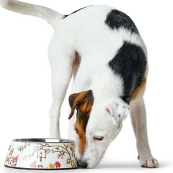 Hunter Melamin-Napf Mogami mehrfarbig 160 ml