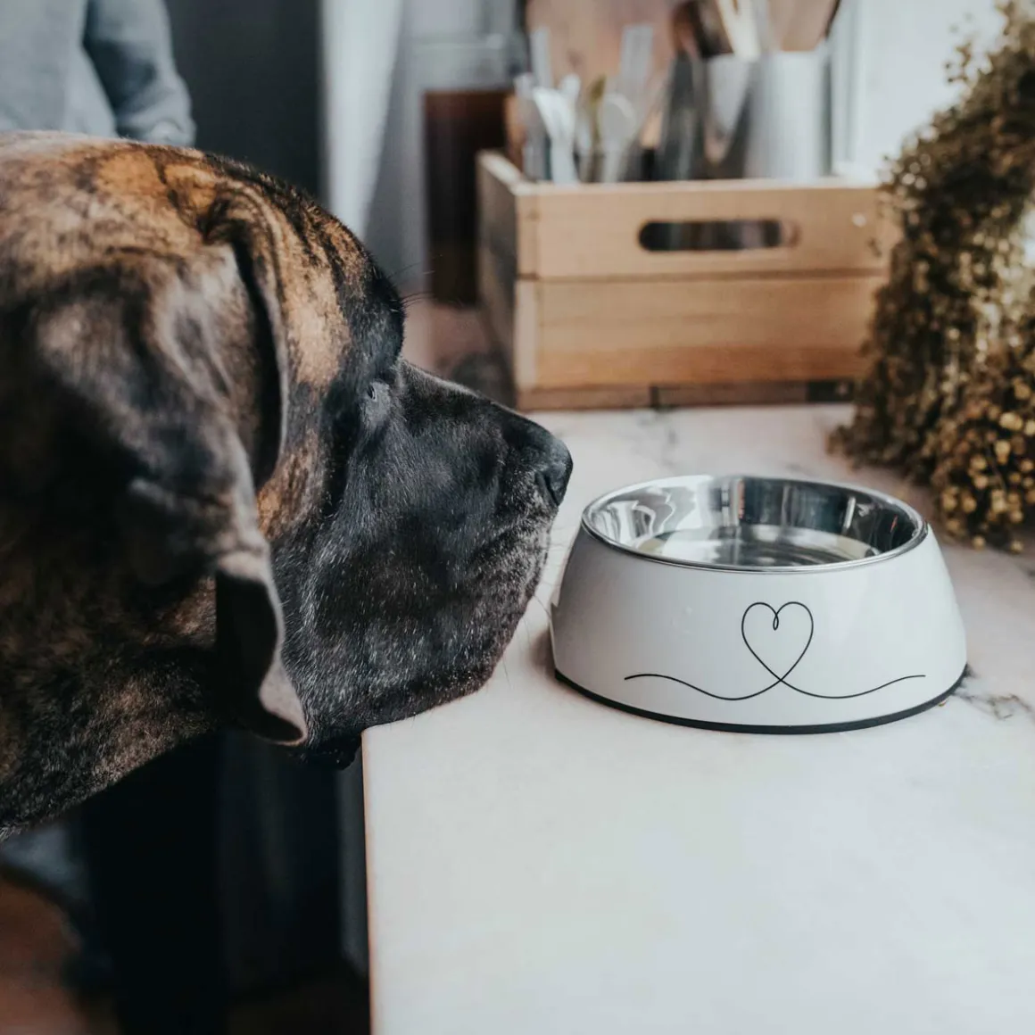 Hunter Melamin-Napf Valencia weiß 700 ml