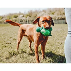 Hunter Wurf-Hundepielzeug Flingerz Schildkröte Splash