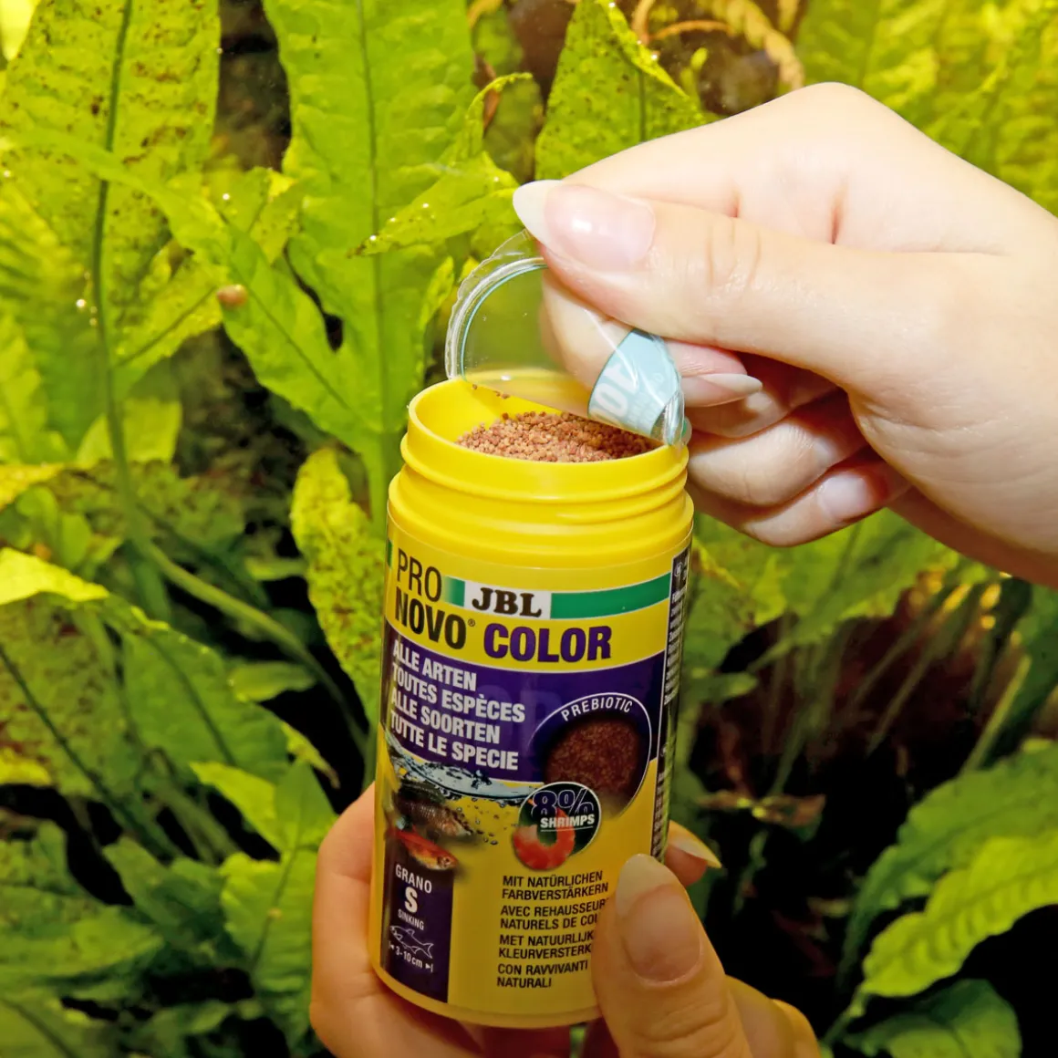 JBL PRONOVO COLOR GRANO S 100ml CLICK