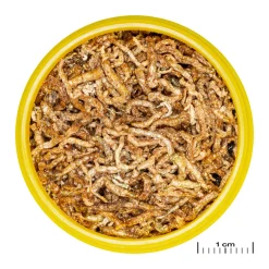 JBL PRONOVO FIL 100ml